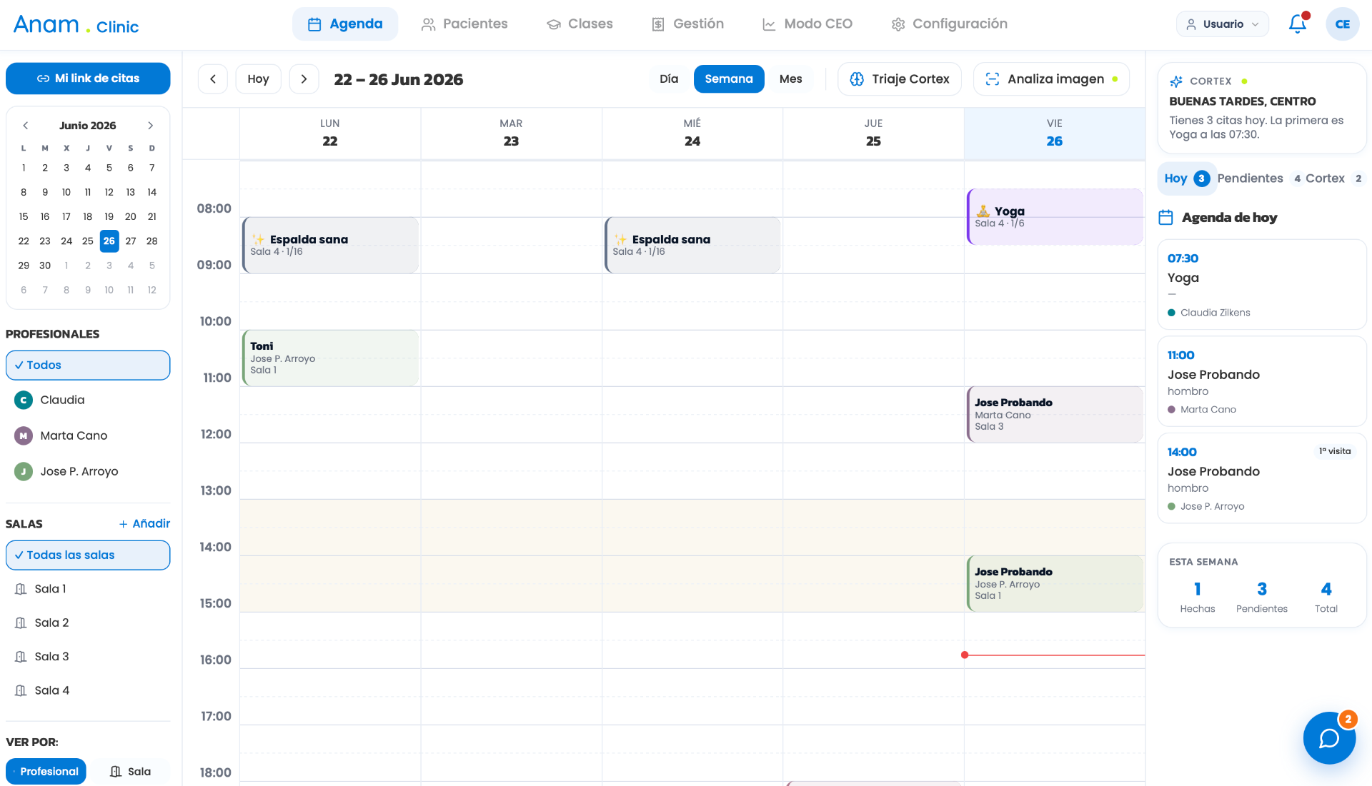 Agenda profesional de Anam Clinic