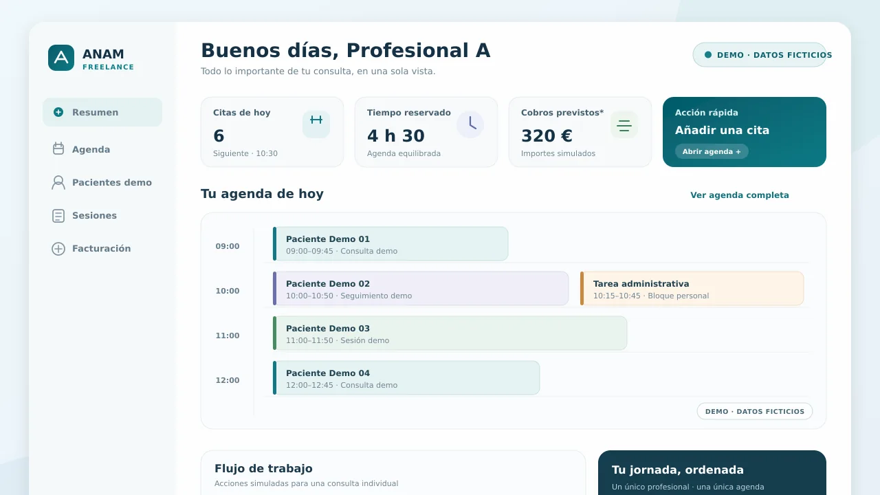 Demo con datos ficticios: panel individual de Anam Freelance